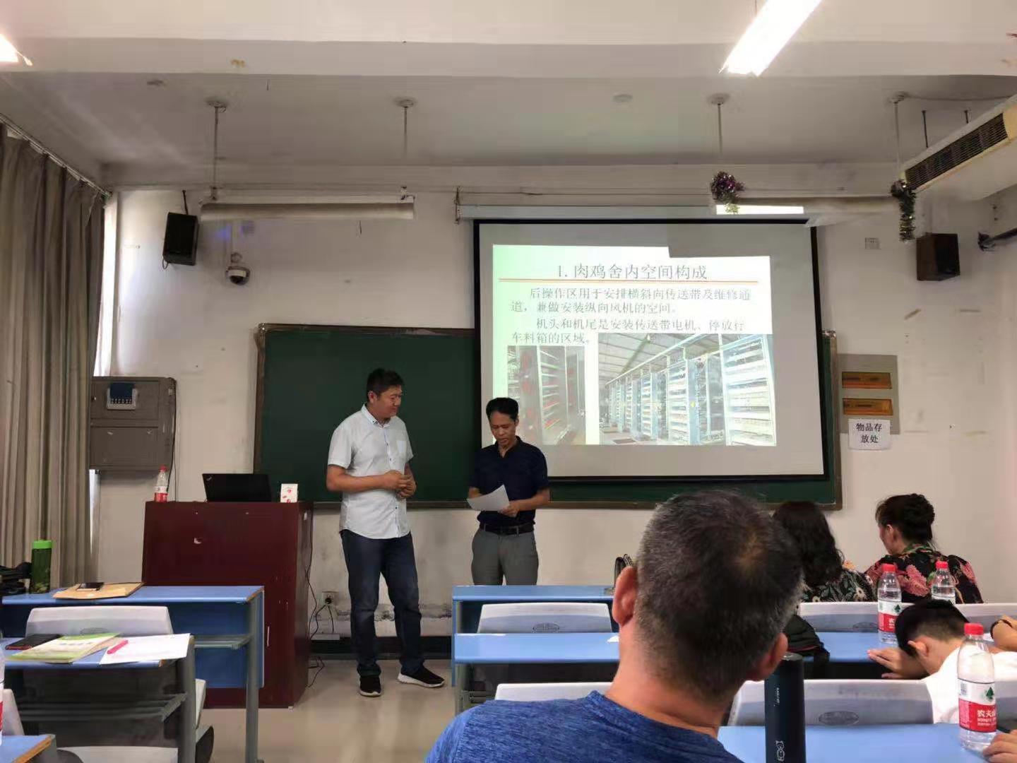 公司层面的听评课活动