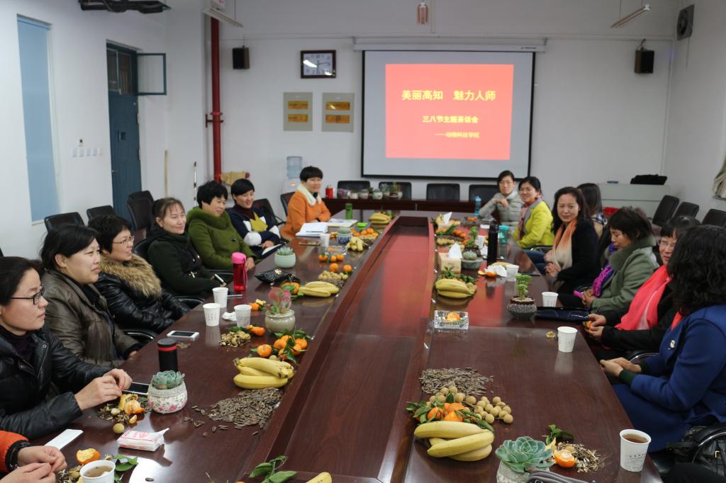 女同胞们积极地交流