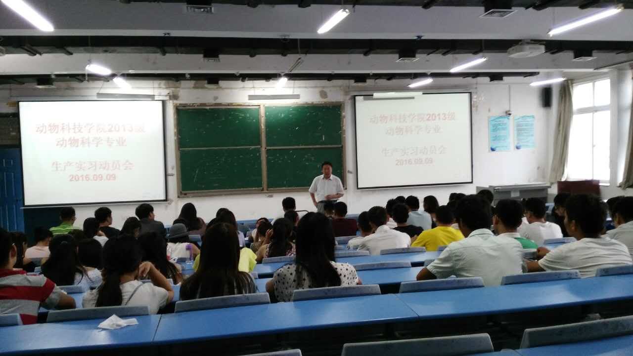 黄炎坤经理总结讲话