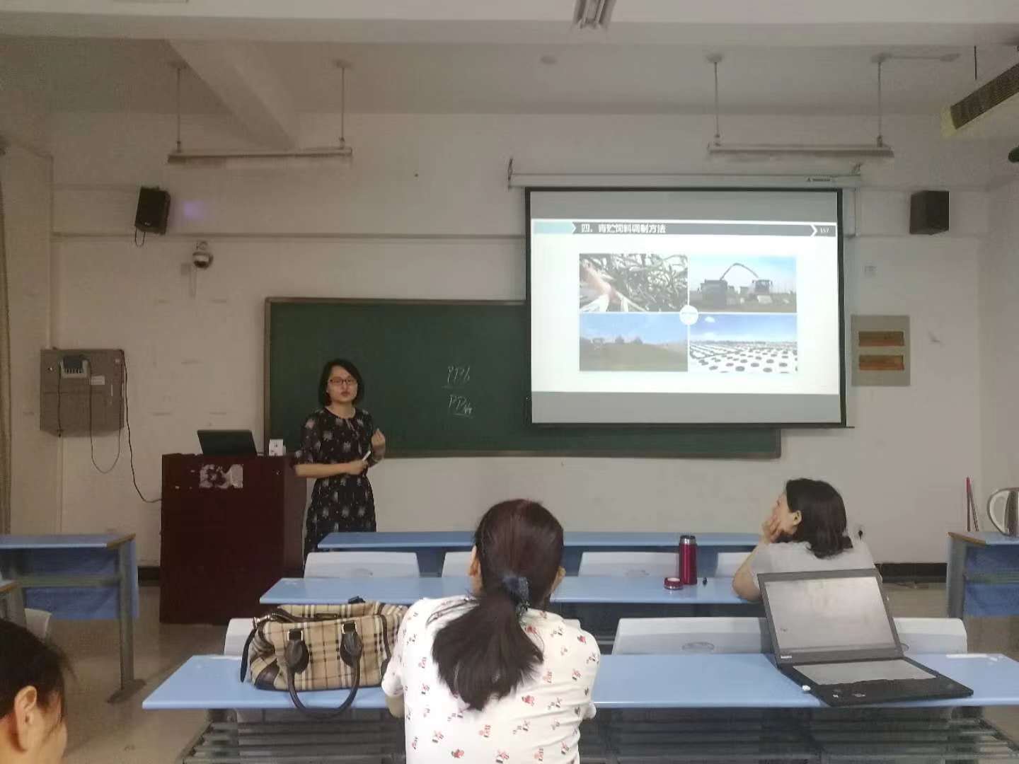 动物营养与饲料教研室听评课活动