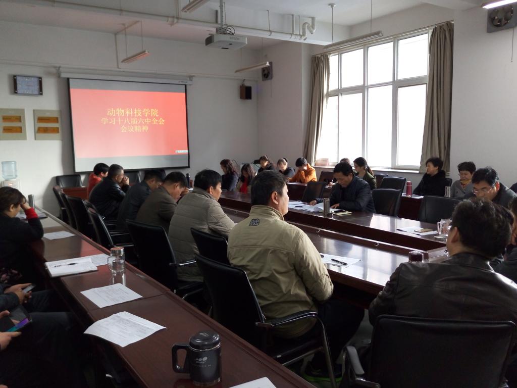认真学习十八届六中全会会议精神